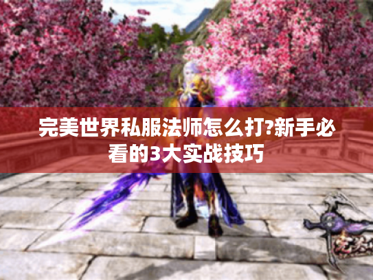 完美世界私服法师怎么打?新手必看的3大实战技巧