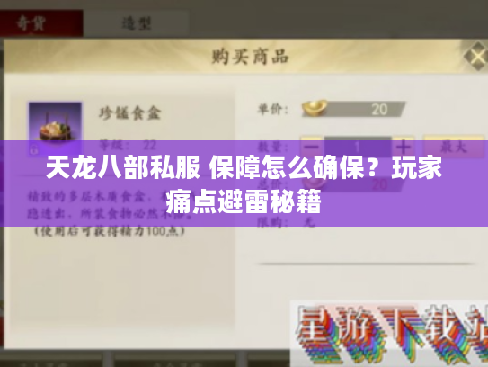 天龙八部私服 保障怎么确保？玩家痛点避雷秘籍