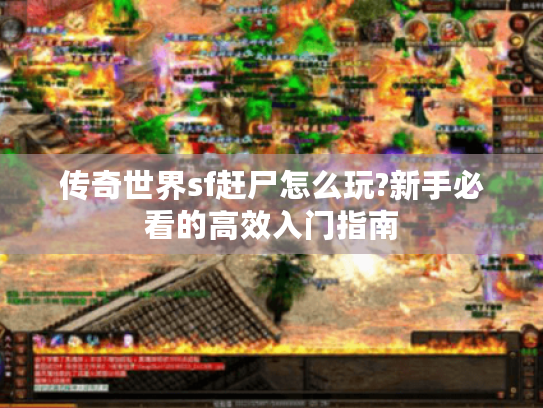 传奇世界sf赶尸怎么玩?新手必看的高效入门指南