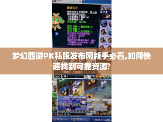 梦幻西游PK私服发布网新手必看,如何快速找到可靠资源?