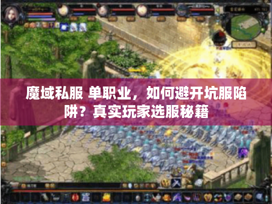 魔域私服 单职业，如何避开坑服陷阱？真实玩家选服秘籍