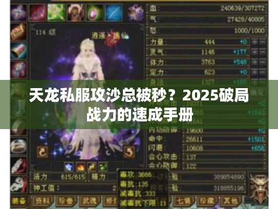 天龙私服攻沙总被秒？2025破局战力的速成手册