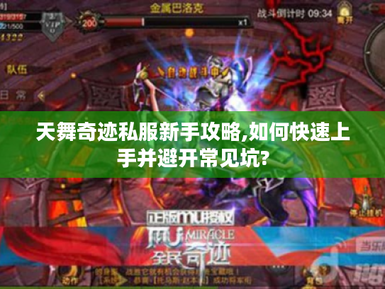天舞奇迹私服新手攻略,如何快速上手并避开常见坑?
