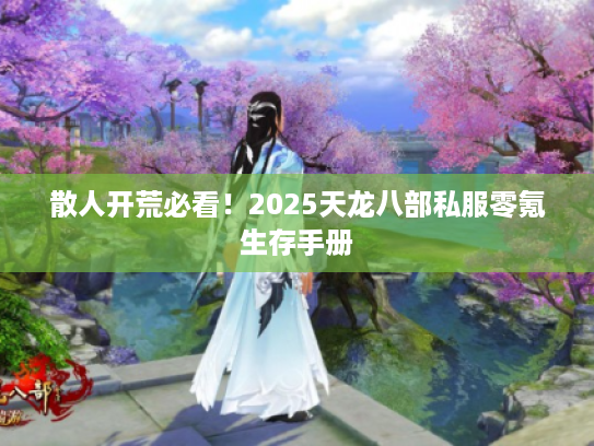 散人开荒必看！2025天龙八部私服零氪生存手册