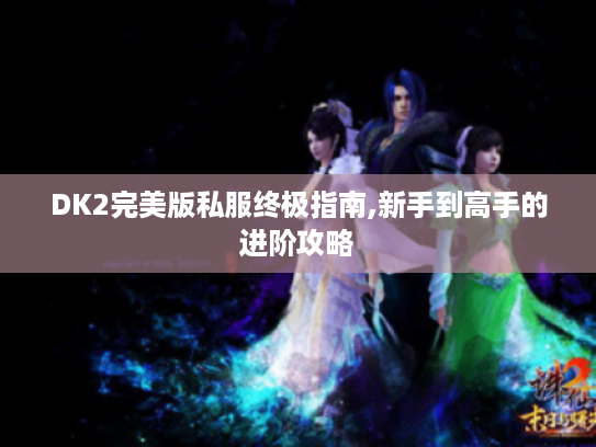 DK2完美版私服终极指南,新手到高手的进阶攻略