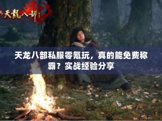 天龙八部私服零氪玩，真的能免费称霸？实战经验分享