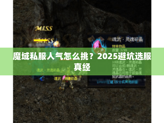 魔域私服人气怎么挑？2025避坑选服真经