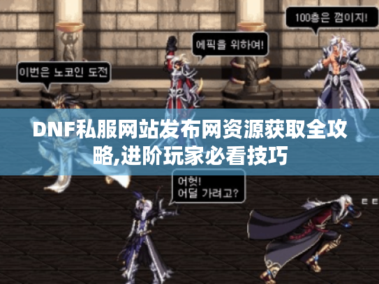 DNF私服网站发布网资源获取全攻略,进阶玩家必看技巧