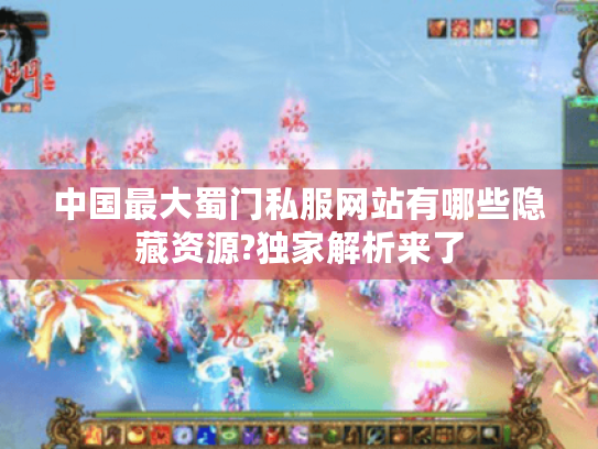 中国最大蜀门私服网站有哪些隐藏资源?独家解析来了
