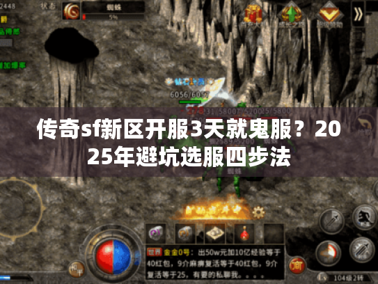 传奇sf新区开服3天就鬼服？2025年避坑选服四步法