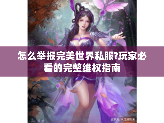 怎么举报完美世界私服?玩家必看的完整维权指南