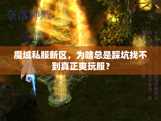 魔域私服新区,为啥总是踩坑找不到真正爽玩服? 魔域私服新区,为啥总是踩坑找不到真正爽玩服?