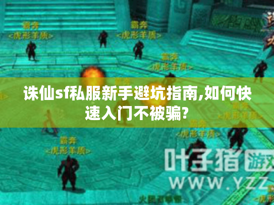 诛仙sf私服新手避坑指南,如何快速入门不被骗?