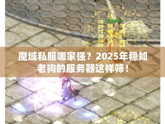 魔域私服哪家强？2025年稳如老狗的服务器这样筛！