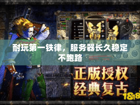 耐玩第一铁律，服务器长久稳定不跑路
