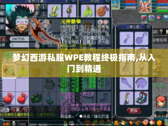 梦幻西游私服WPE教程终极指南,从入门到精通