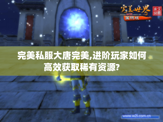 完美私服大唐完美,进阶玩家如何高效获取稀有资源?