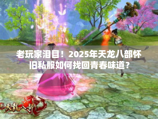 老玩家泪目！2025年天龙八部怀旧私服如何找回青春味道？