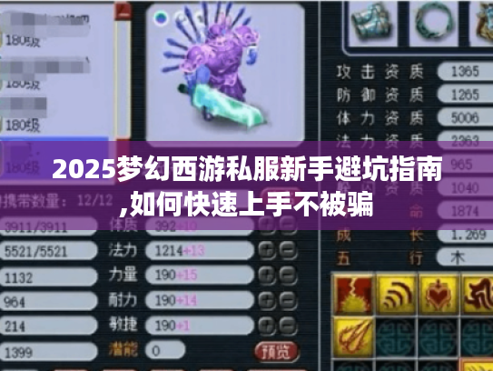 2025梦幻西游私服新手避坑指南,如何快速上手不被骗