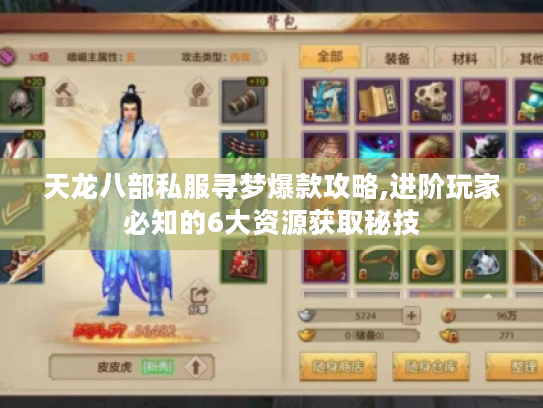 天龙八部私服寻梦爆款攻略,进阶玩家必知的6大资源获取秘技