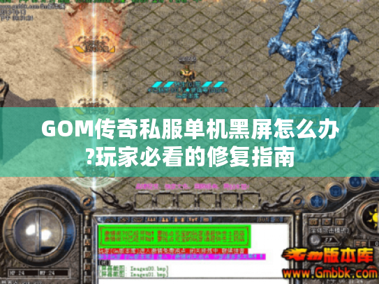 GOM传奇私服单机黑屏怎么办?玩家必看的修复指南