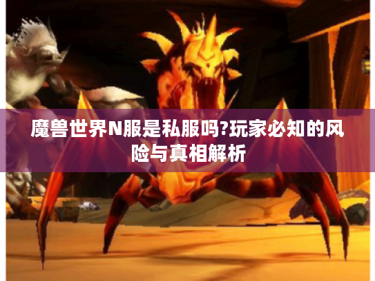 魔兽世界N服是私服吗?玩家必知的风险与真相解析