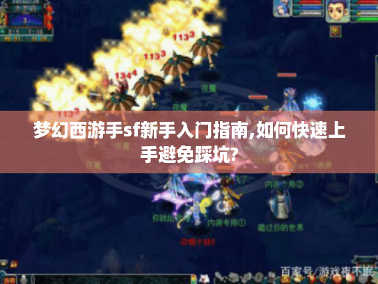 梦幻西游手sf新手入门指南,如何快速上手避免踩坑?