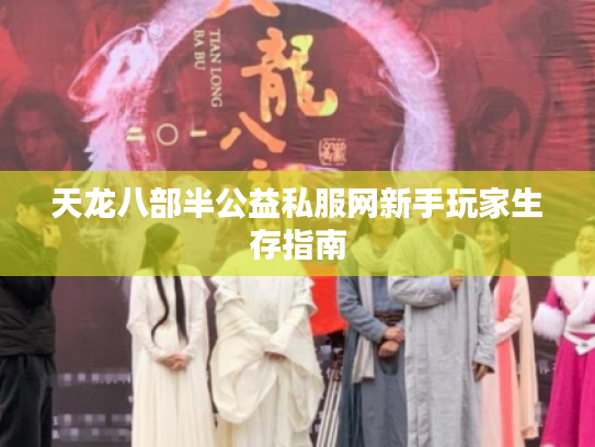 天龙八部半公益私服网新手玩家生存指南