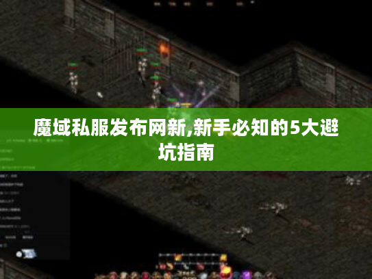 魔域私服发布网新,新手必知的5大避坑指南
