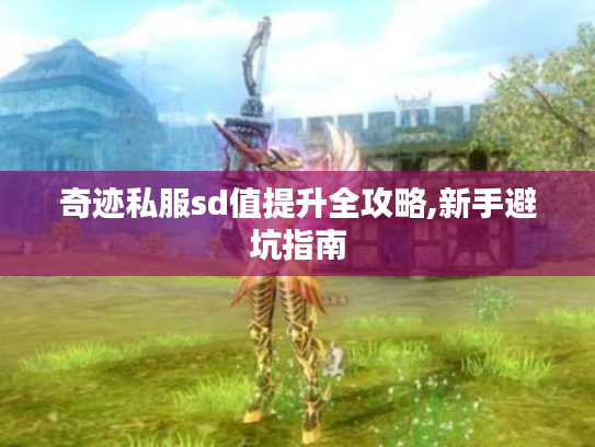 奇迹私服sd值提升全攻略,新手避坑指南