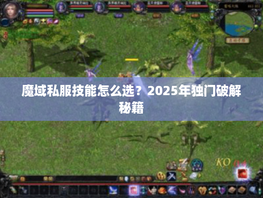 魔域私服技能怎么选？2025年独门破解秘籍