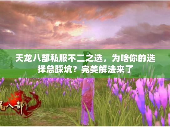 天龙八部私服不二之选，为啥你的选择总踩坑？完美解法来了