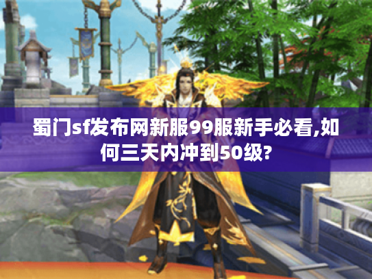 蜀门sf发布网新服99服新手必看,如何三天内冲到50级?