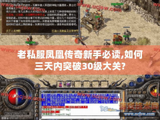 老私服凤凰传奇新手必读,如何三天内突破30级大关?