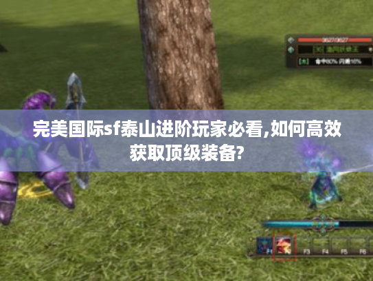完美国际sf泰山进阶玩家必看,如何高效获取顶级装备?