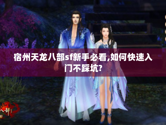 宿州天龙八部sf新手必看,如何快速入门不踩坑?