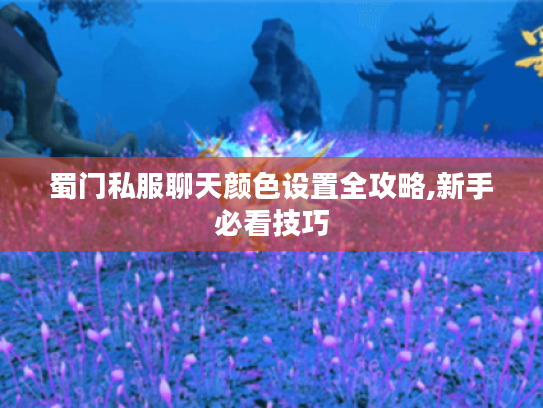 蜀门私服聊天颜色设置全攻略,新手必看技巧