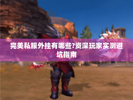 完美私服外挂有哪些?资深玩家实测避坑指南