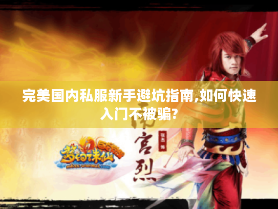 完美国内私服新手避坑指南,如何快速入门不被骗?