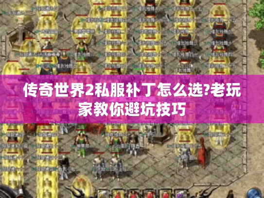 传奇世界2私服补丁怎么选?老玩家教你避坑技巧 传奇世界2私服补丁怎么选?老玩家教你避坑技巧