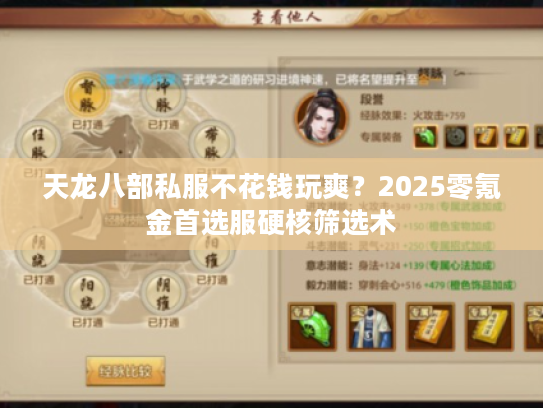 天龙八部私服不花钱玩爽？2025零氪金首选服硬核筛选术