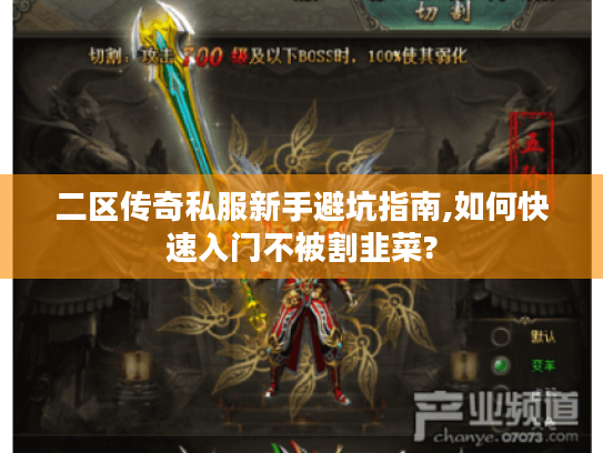 二区传奇私服新手避坑指南,如何快速入门不被割韭菜?