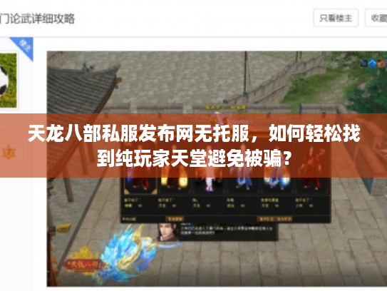 天龙八部私服发布网无托服，如何轻松找到纯玩家天堂避免被骗？