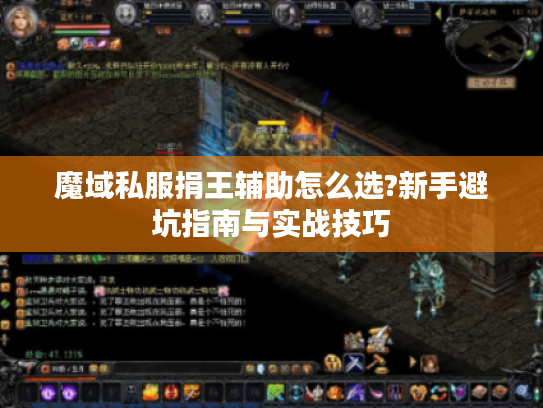 魔域私服捐王辅助怎么选?新手避坑指南与实战技巧