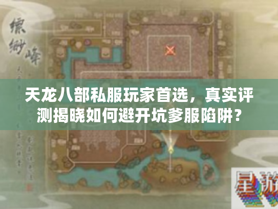 天龙八部私服玩家首选，真实评测揭晓如何避开坑爹服陷阱？