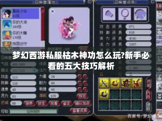 梦幻西游私服枯木神功怎么玩?新手必看的五大技巧解析