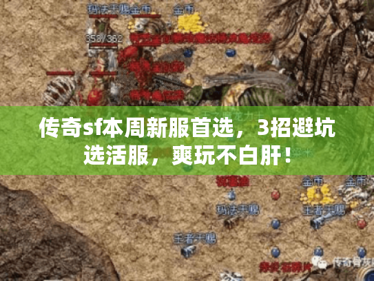 传奇sf本周新服首选，3招避坑选活服，爽玩不白肝！