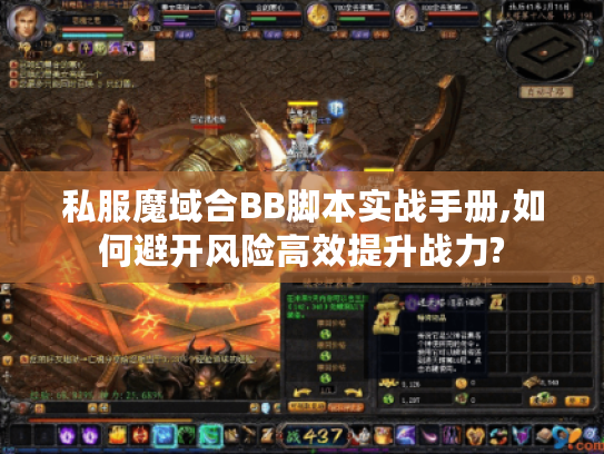 私服魔域合BB脚本实战手册,如何避开风险高效提升战力?