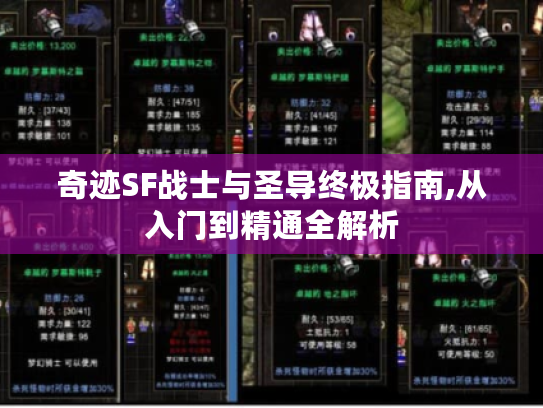 奇迹SF战士与圣导终极指南,从入门到精通全解析