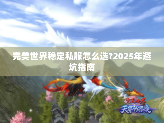 完美世界稳定私服怎么选?2025年避坑指南
